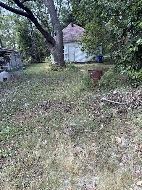 5807 Forest Blvd: photo 16