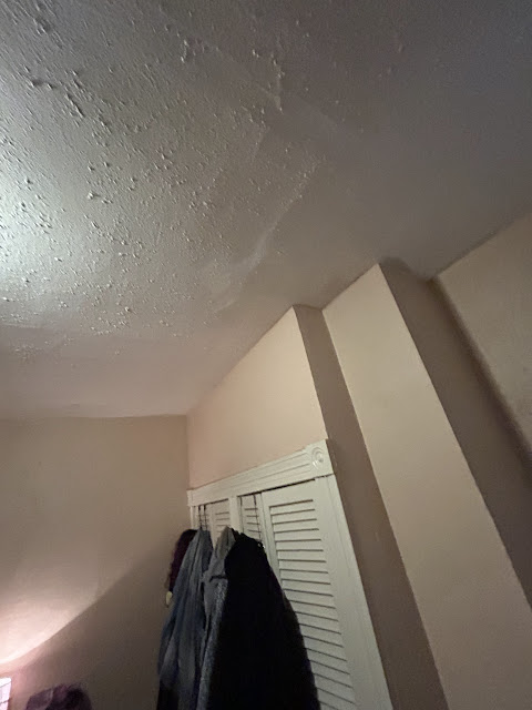 5532 Robin Ave: photo 14