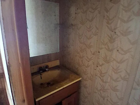 407 W Saint Louis St: photo 6