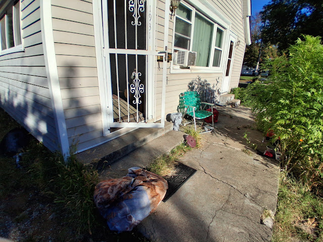1931 N Edwards St: photo 16