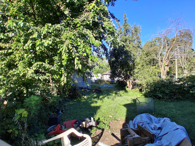1931 N Edwards St: photo 20