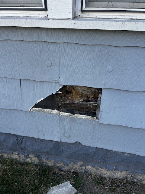 900 S 16th St: photo 20