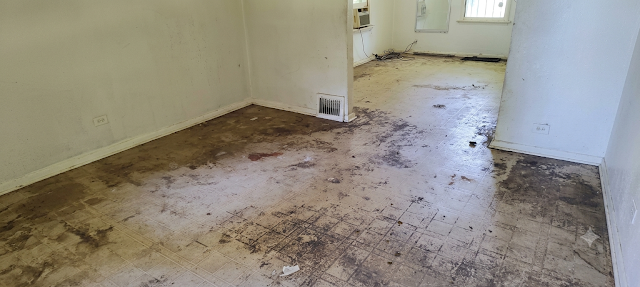 5257 Alcott Ave: photo 3