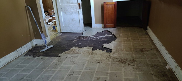 5257 Alcott Ave: photo 9
