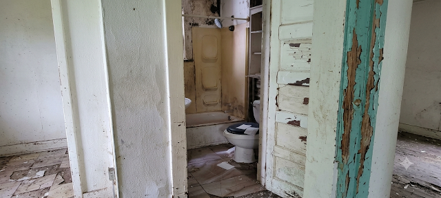5257 Alcott Ave: photo 8