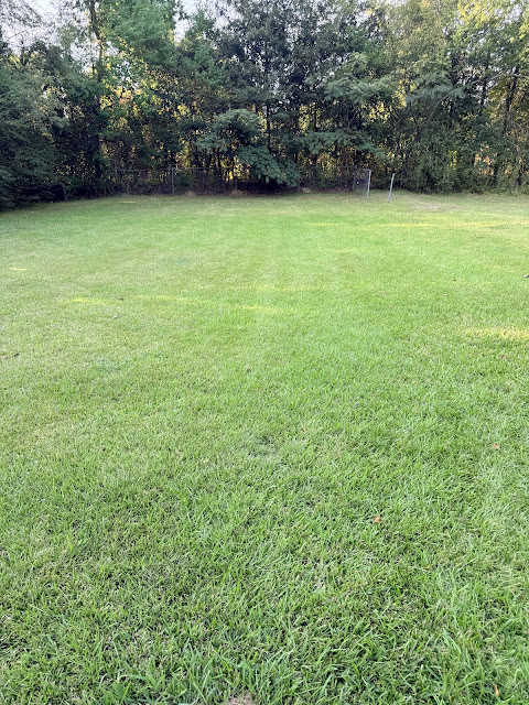 4228 Johnson Ct: photo 7