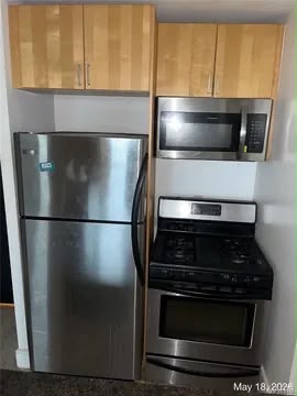 210 N 17th St Unit 1409: photo 4