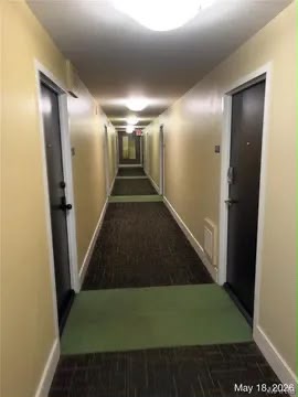 210 N 17th St Unit 1409: photo 11
