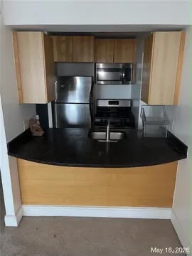 210 N 17th St Unit 1409: photo 3