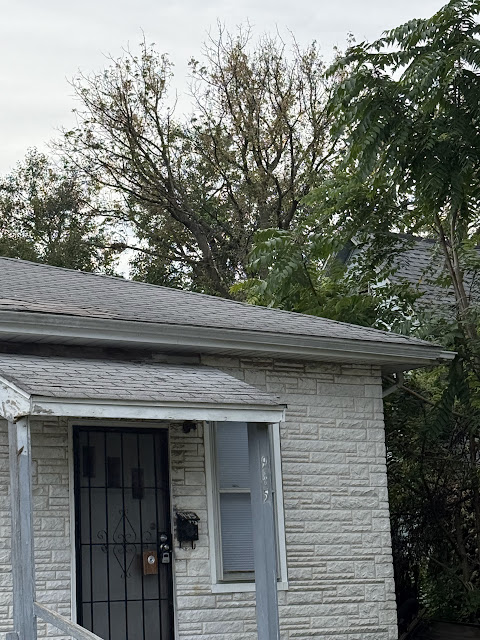 945 S Maffit St: photo 2