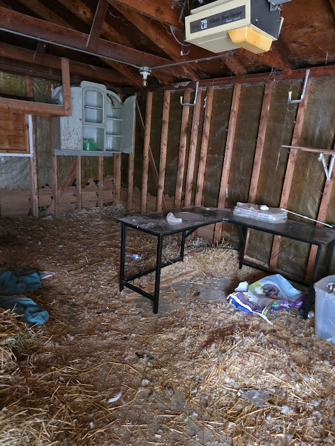 132 N 23rd Pl: photo 20