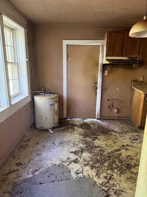 17352 Pittman Rd: photo 52