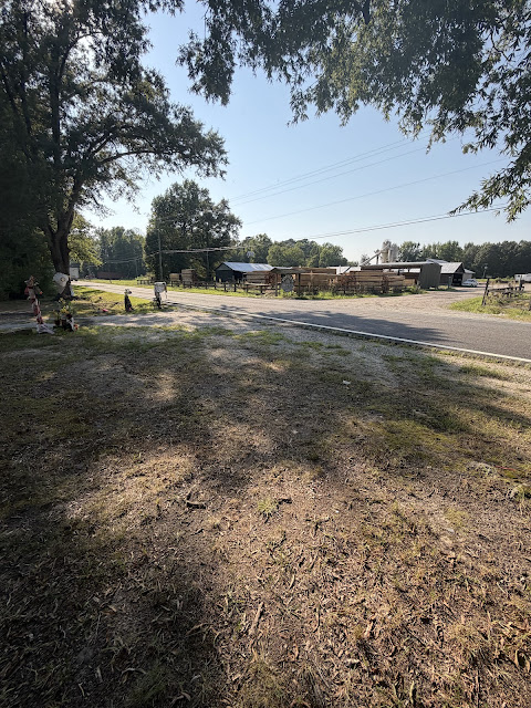 17352 Pittman Rd: photo 28