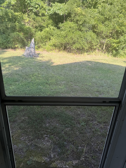 17352 Pittman Rd: photo 50