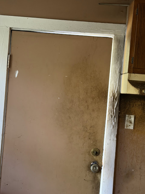 17352 Pittman Rd: photo 95