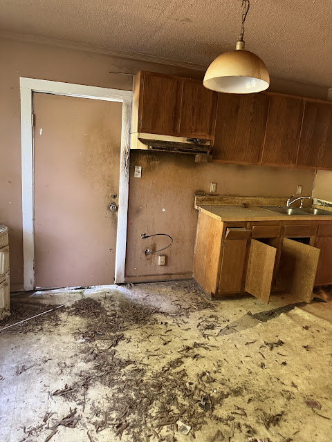 17352 Pittman Rd: photo 53