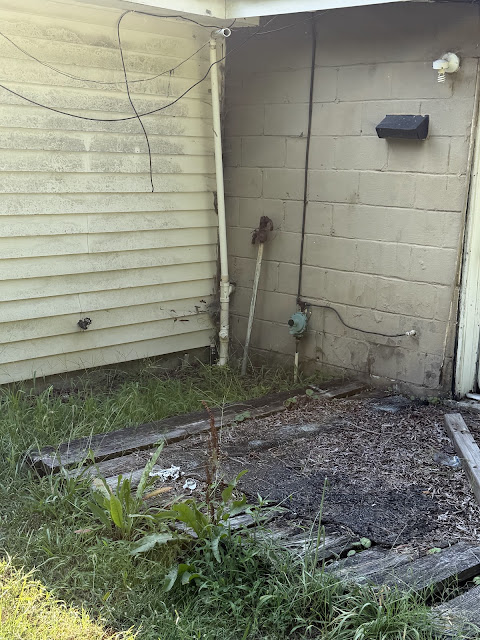 17352 Pittman Rd: photo 42
