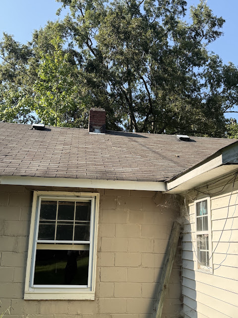 17352 Pittman Rd: photo 37