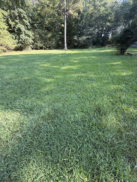 17352 Pittman Rd: photo 38
