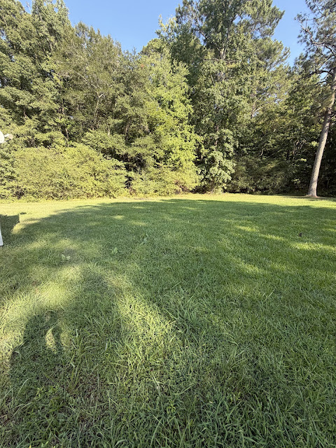 17352 Pittman Rd: photo 35