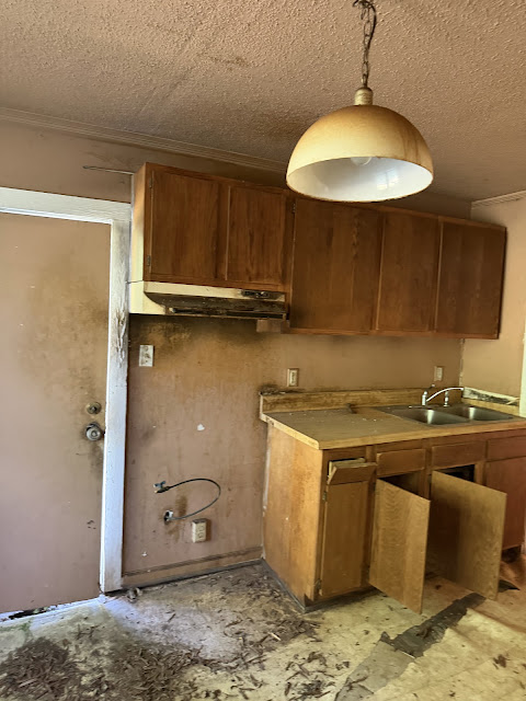 17352 Pittman Rd: photo 60