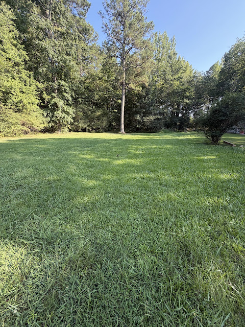 17352 Pittman Rd: photo 9