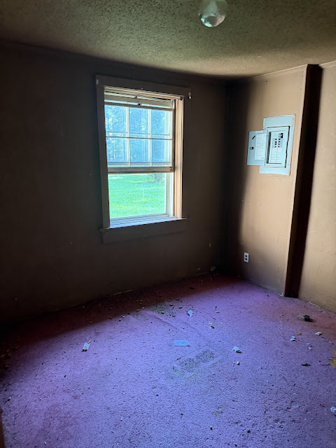 17352 Pittman Rd: photo 62