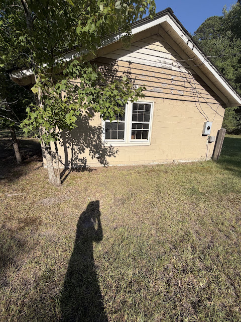 17352 Pittman Rd: photo 31