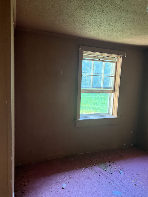 17352 Pittman Rd: photo 63