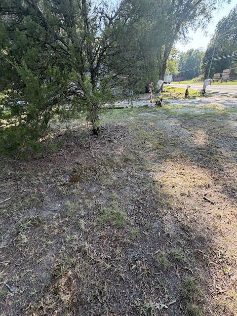 17352 Pittman Rd: photo 29