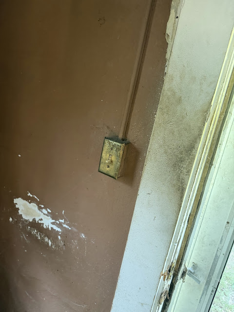 17352 Pittman Rd: photo 51