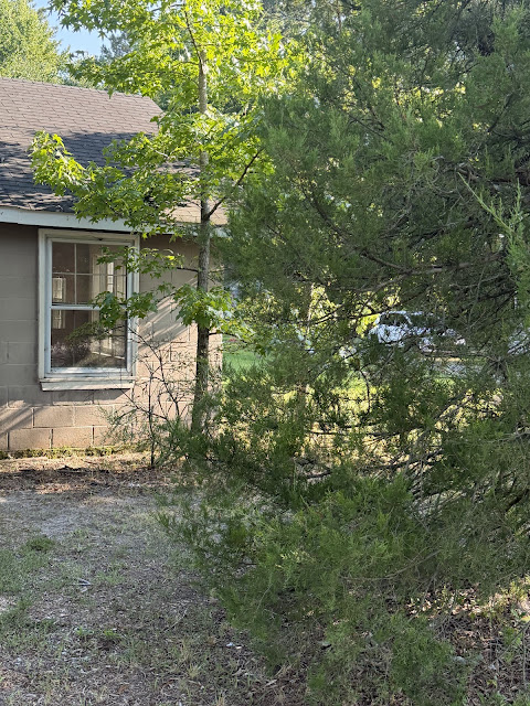17352 Pittman Rd: photo 26