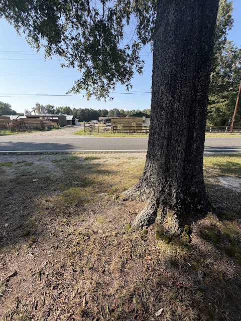 17352 Pittman Rd: photo 27