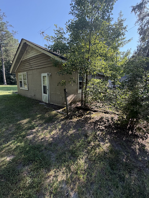 17352 Pittman Rd: photo 8