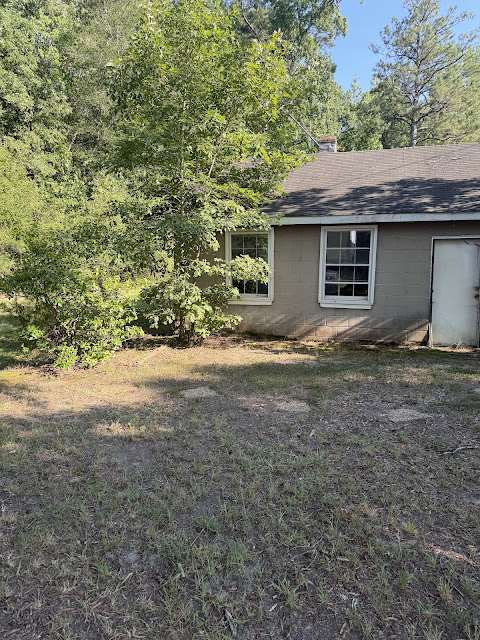 17352 Pittman Rd: photo 3