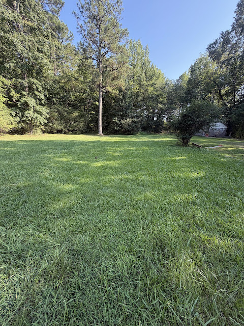 17352 Pittman Rd: photo 10