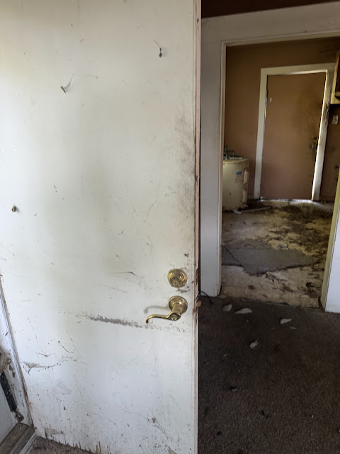 17352 Pittman Rd: photo 20