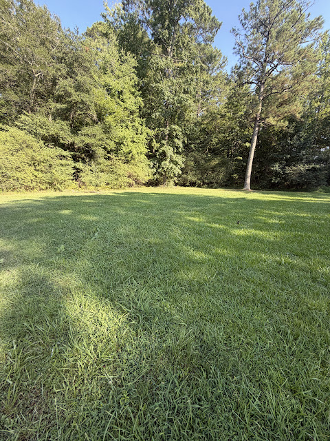 17352 Pittman Rd: photo 36