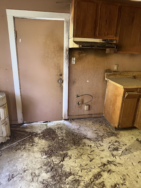 17352 Pittman Rd: photo 58