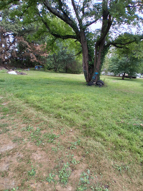 214 Pyle St: photo 18