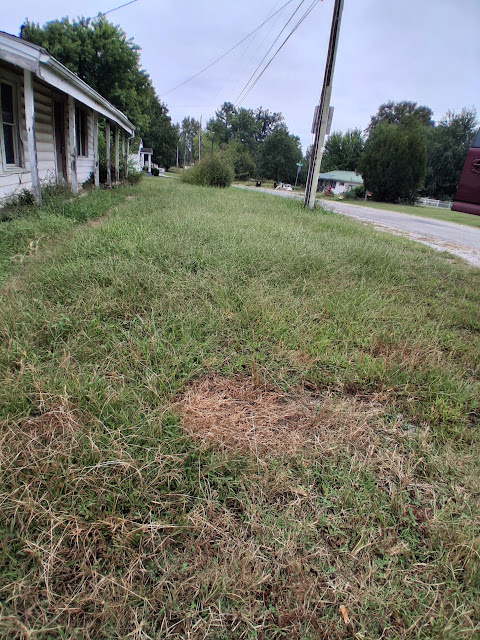 214 Pyle St: photo 19