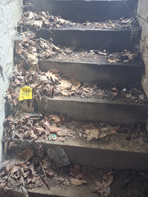 303 W Sycamore St: photo 54