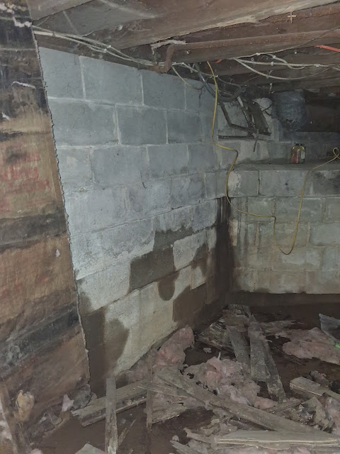 303 W Sycamore St: photo 57