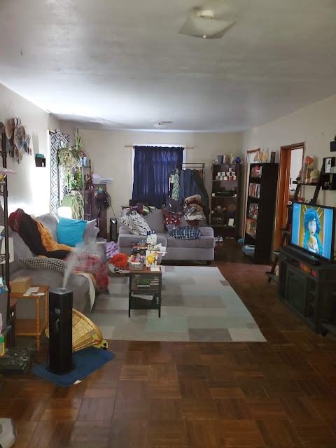 303 W Sycamore St: photo 30