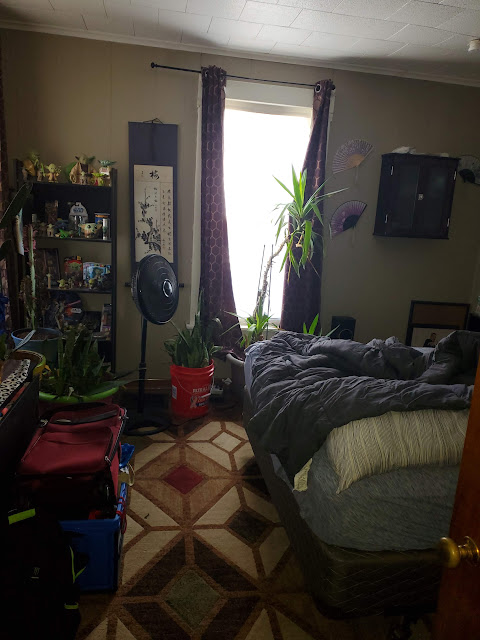 303 W Sycamore St: photo 12