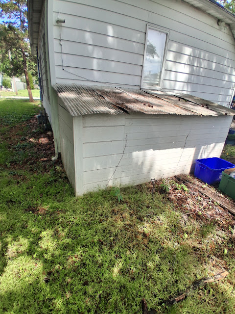 303 W Sycamore St: photo 5
