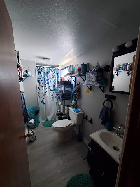 303 W Sycamore St: photo 28
