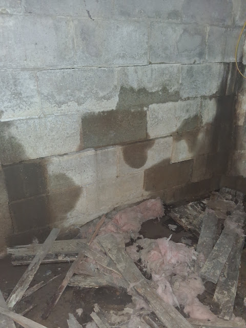 303 W Sycamore St: photo 58