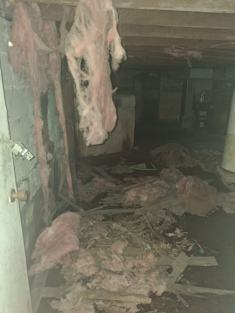 303 W Sycamore St: photo 18