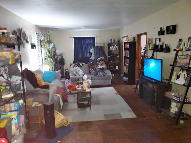303 W Sycamore St: photo 7